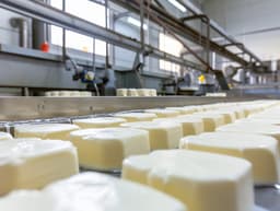 Ezine Peyniri Nasıl Yapılır?